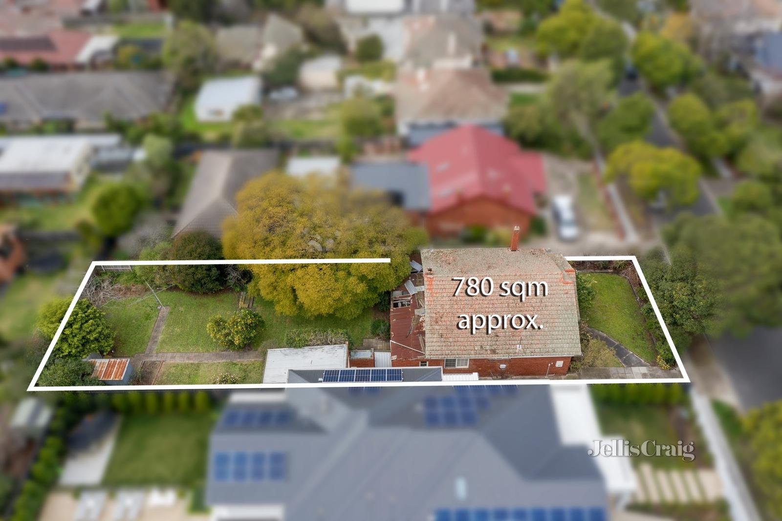 47 Holloway Street, Ormond image 4