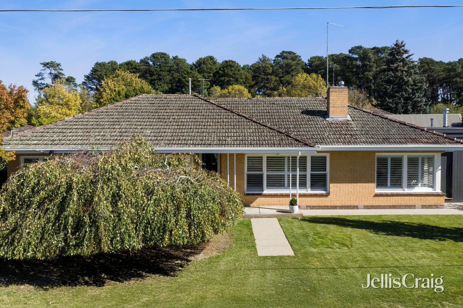 47 Waller Avenue, Newington image 33