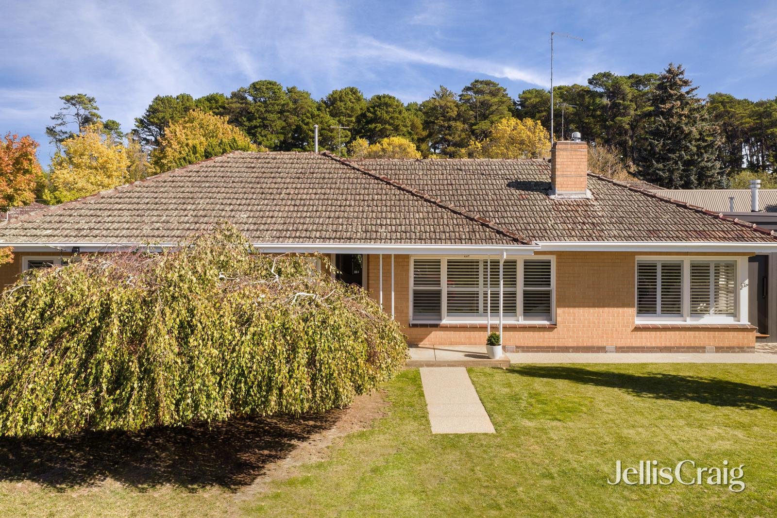 47 Waller Avenue, Newington image 35