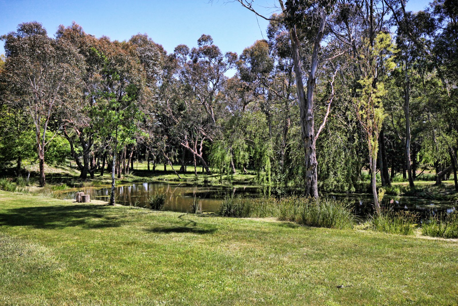 Property Gallery Thumbnail 23