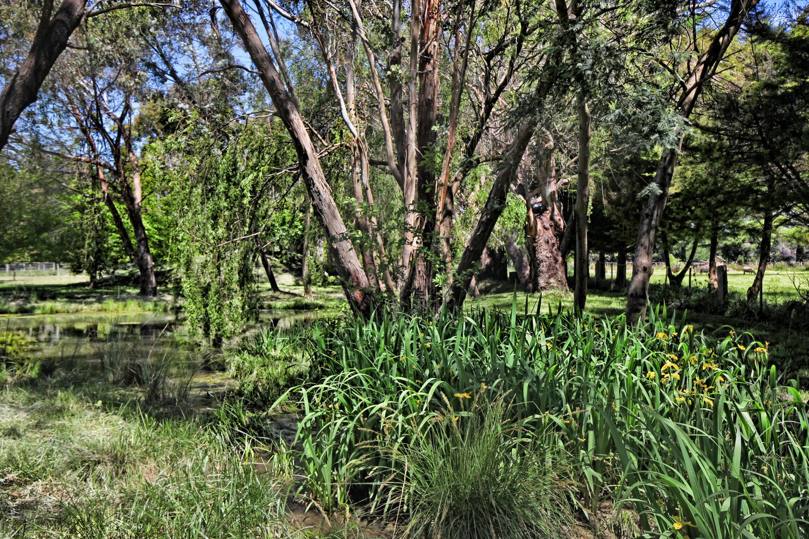 Property Gallery Thumbnail 28