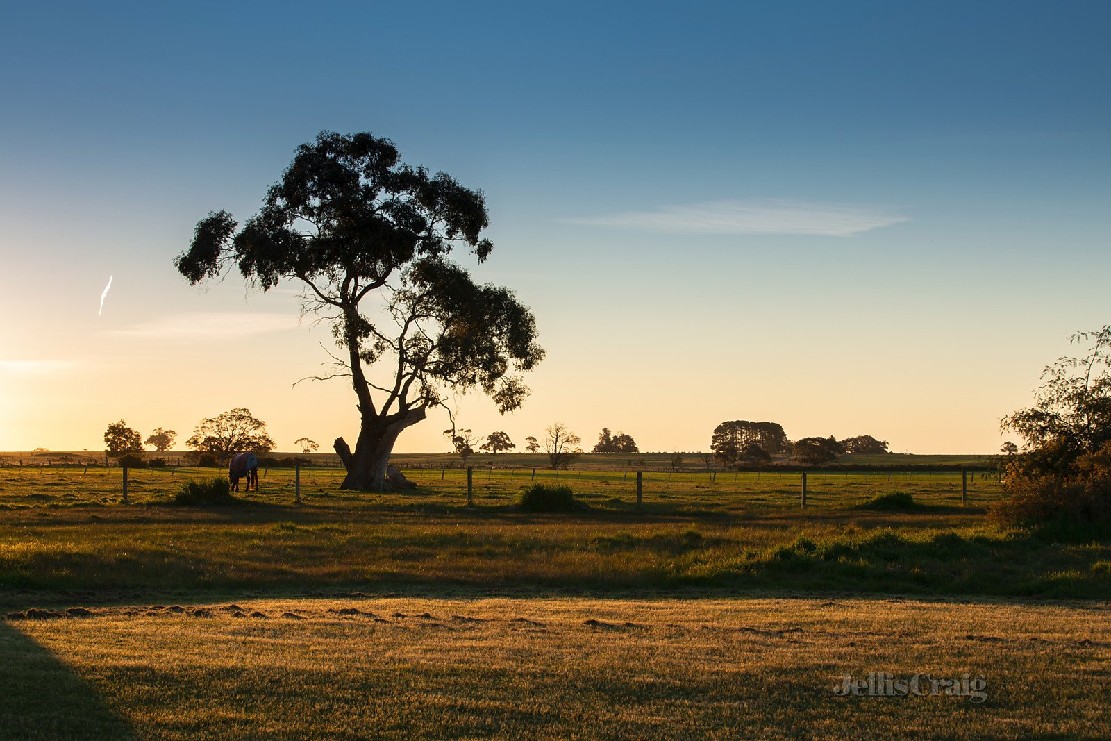 470 Haddon School Road, Haddon image 25