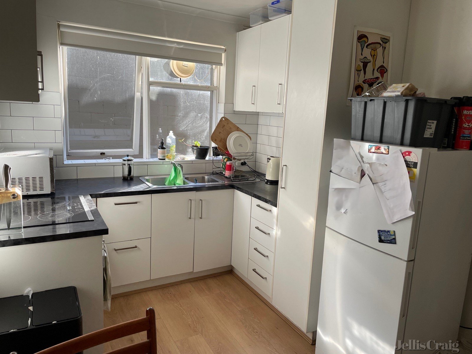 4/71 Holden Street, Fitzroy North image 2