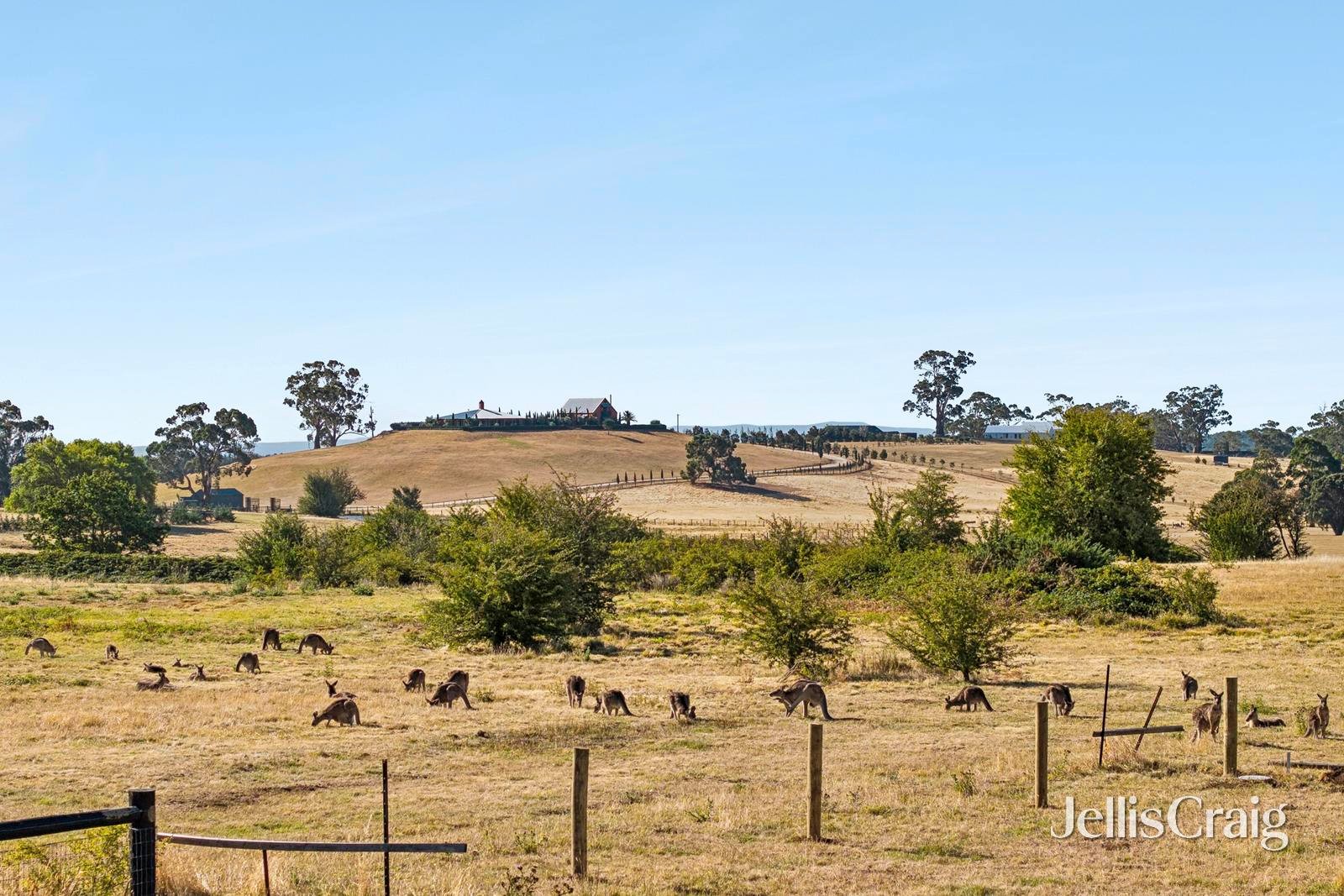47a Eldon Street, Glenlyon image 24