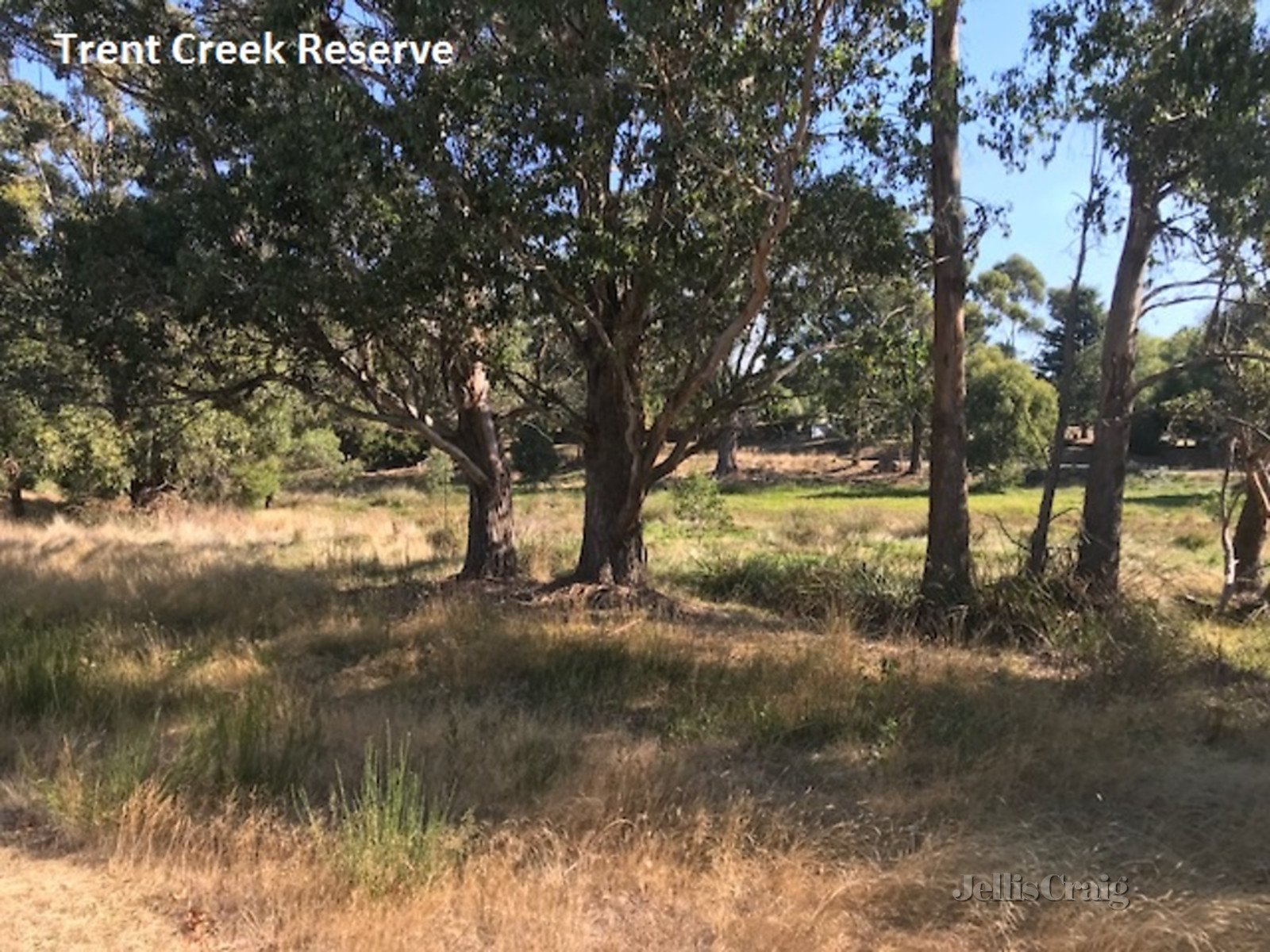 47a Victoria Street, Trentham image 3