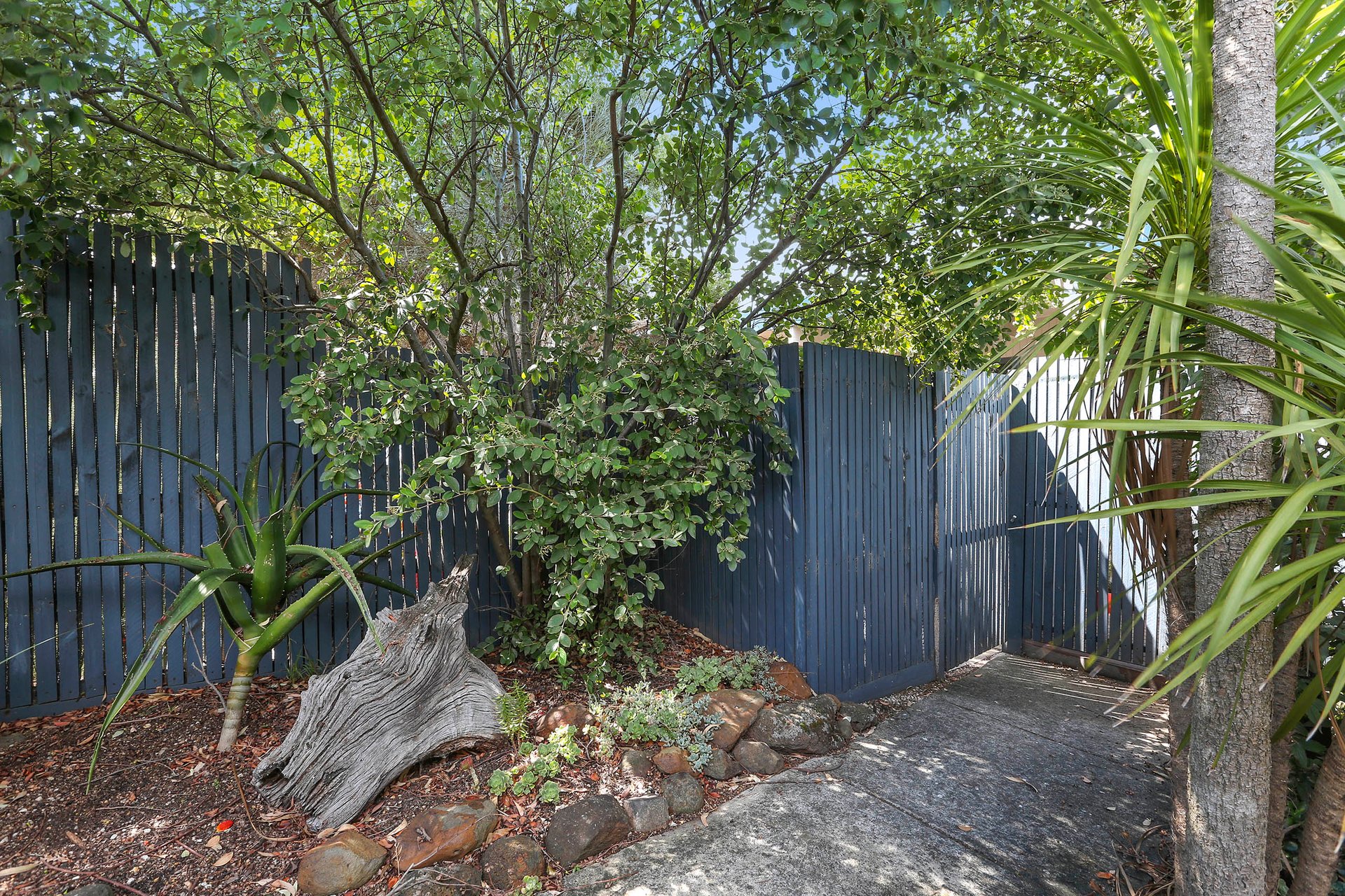 4/8-10 Elcho Street, Newtown image 7