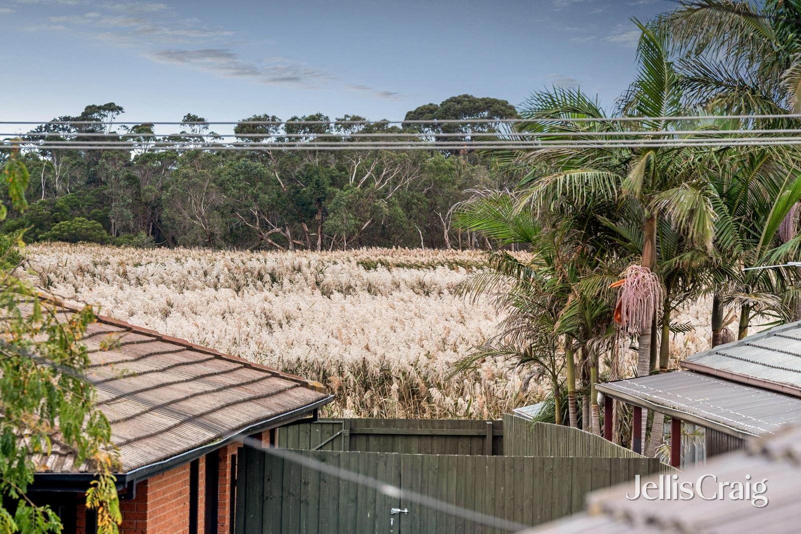 48 Amaroo Drive, Chelsea&nbsp;Heights image 13