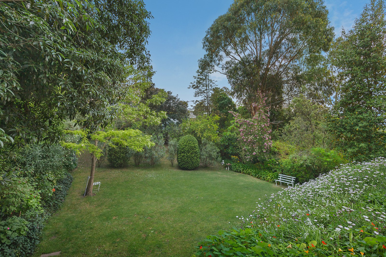48 Clay Drive, Doncaster image 10