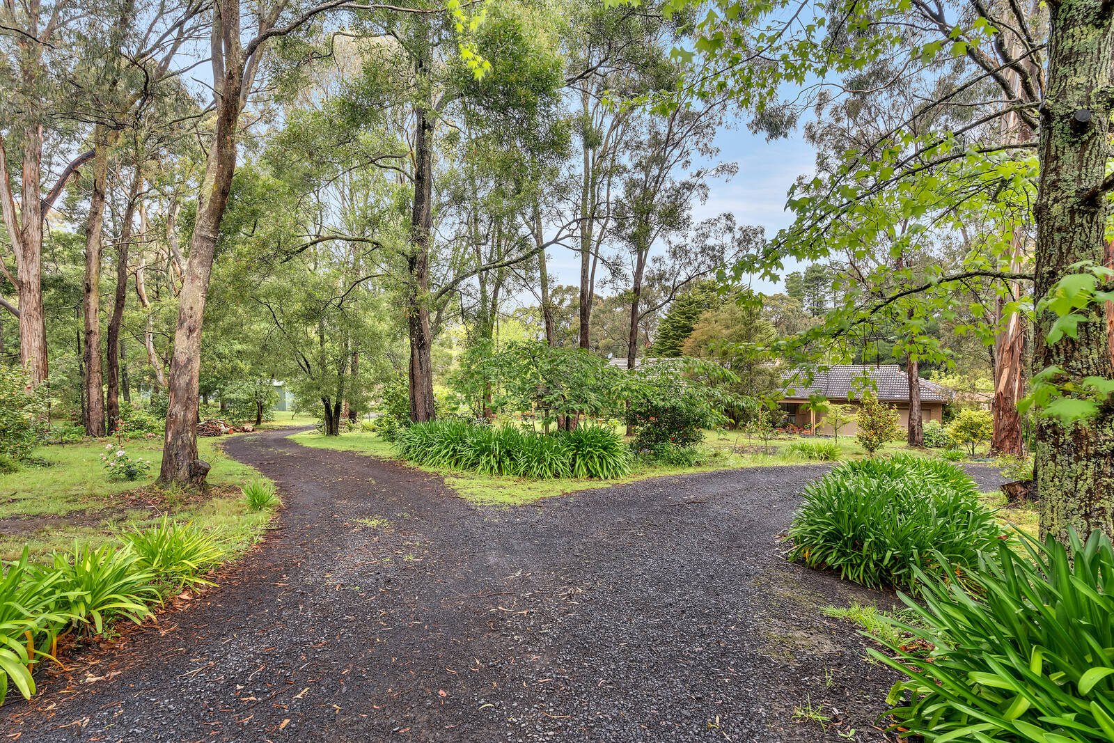 Property Gallery Thumbnail 4
