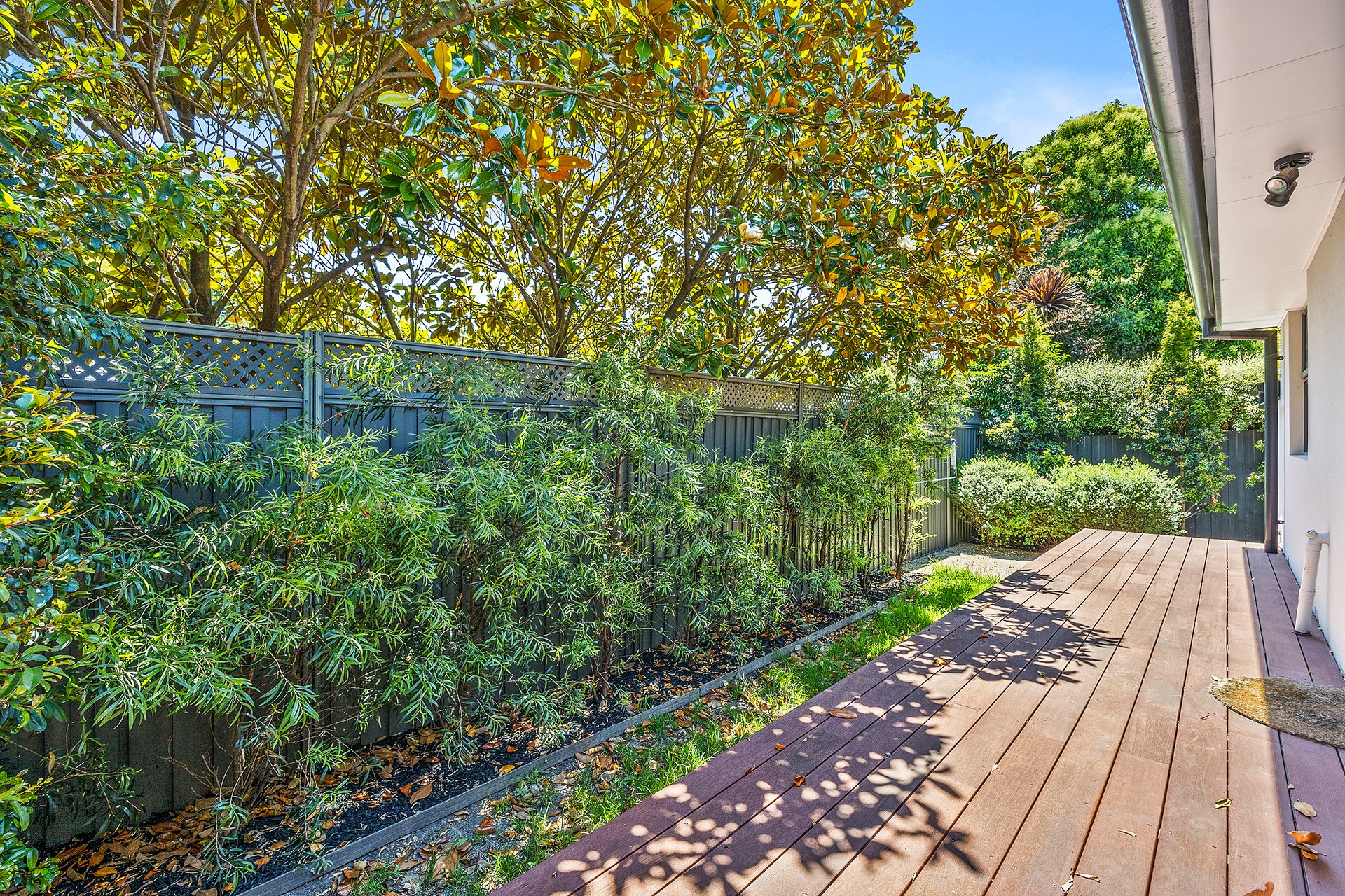 4/8 Grigg Avenue, Vermont image 8