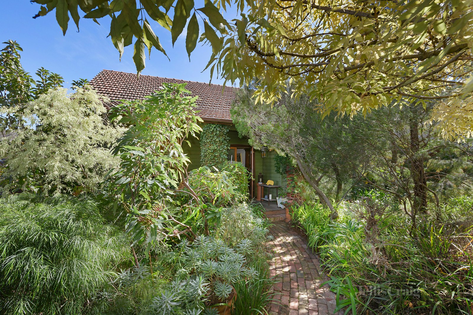 48 Martin Road, Glen Iris image 3