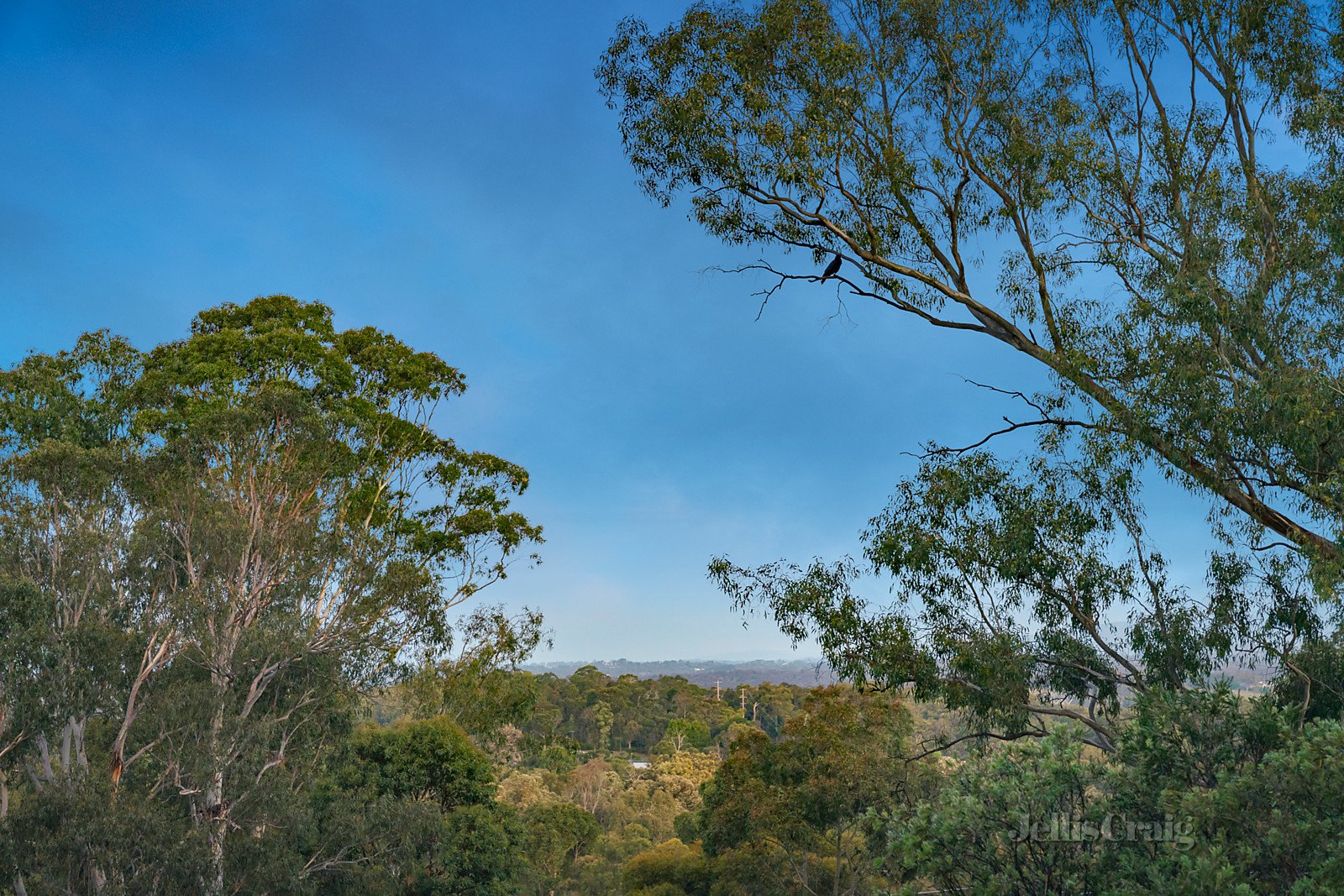 48 View Hill Crescent, Eltham image 13