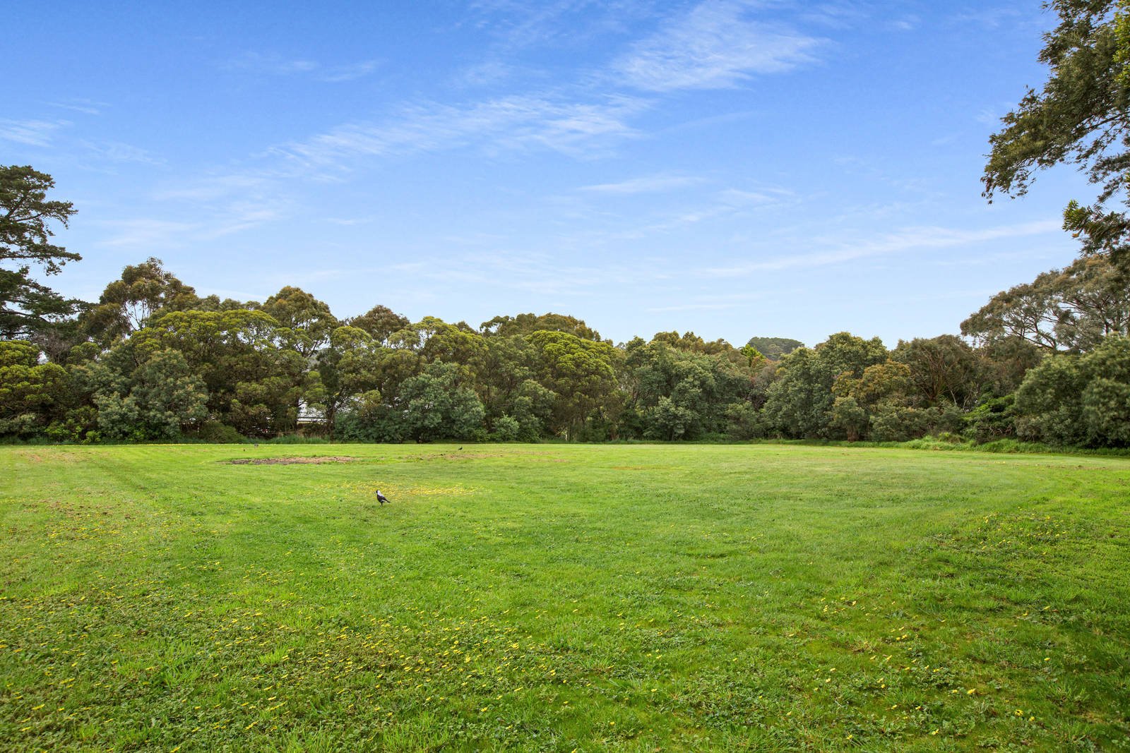 Property Gallery Thumbnail 8