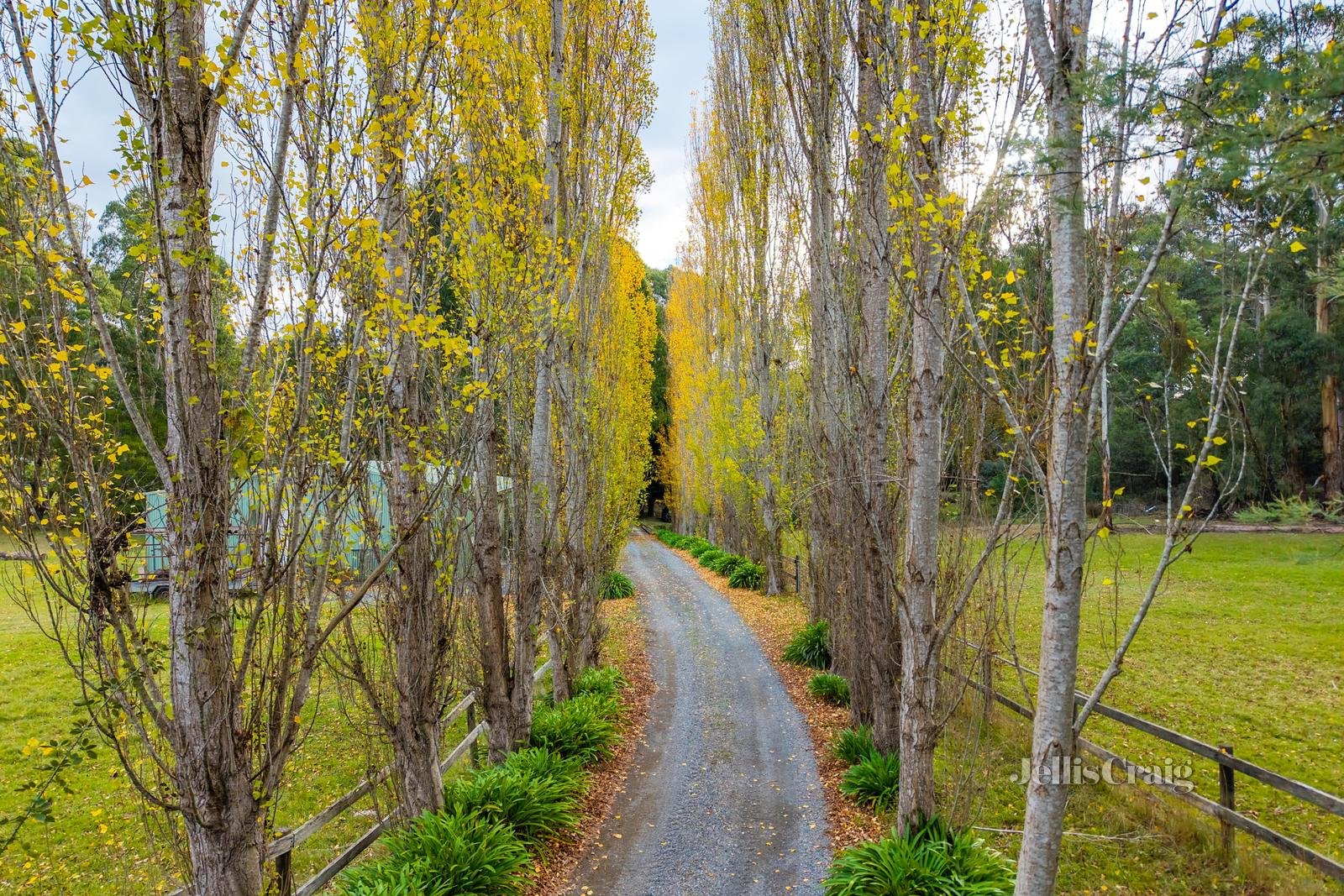 480 Healesville-Kinglake Road, Chum Creek image 4