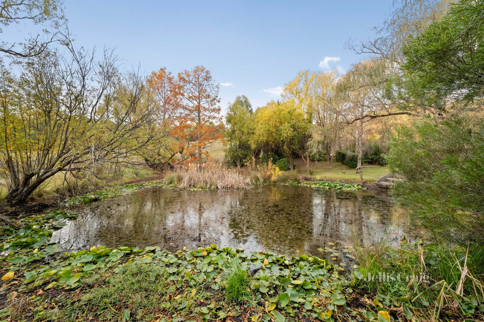 480 Healesville-Kinglake Road, Chum Creek image 17