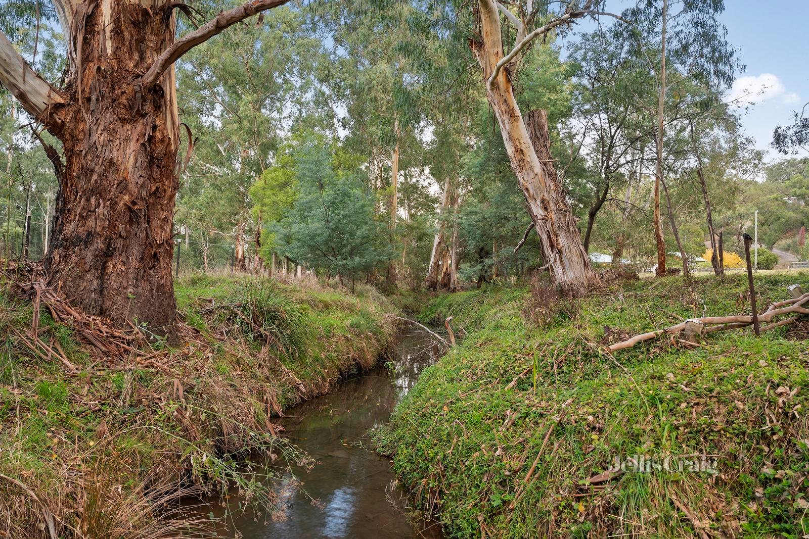 480 Healesville-Kinglake Road, Chum Creek image 18
