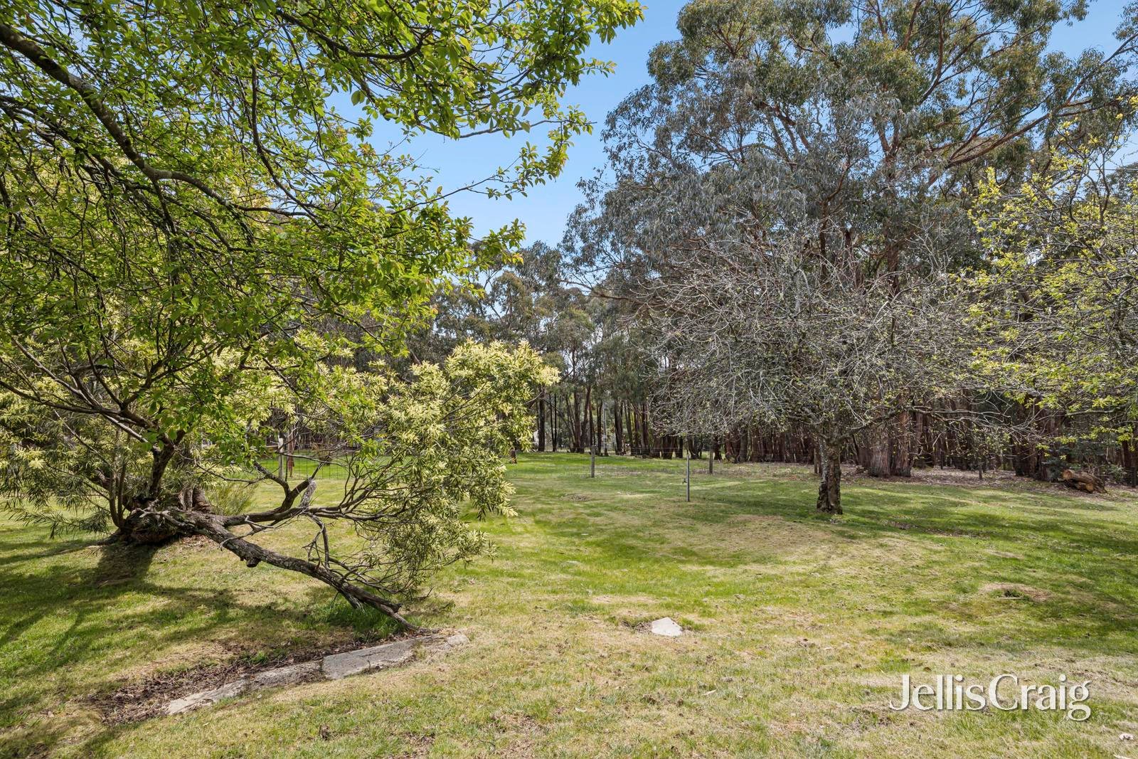 481 Porcupine Ridge Road, Porcupine&nbsp;Ridge image 22