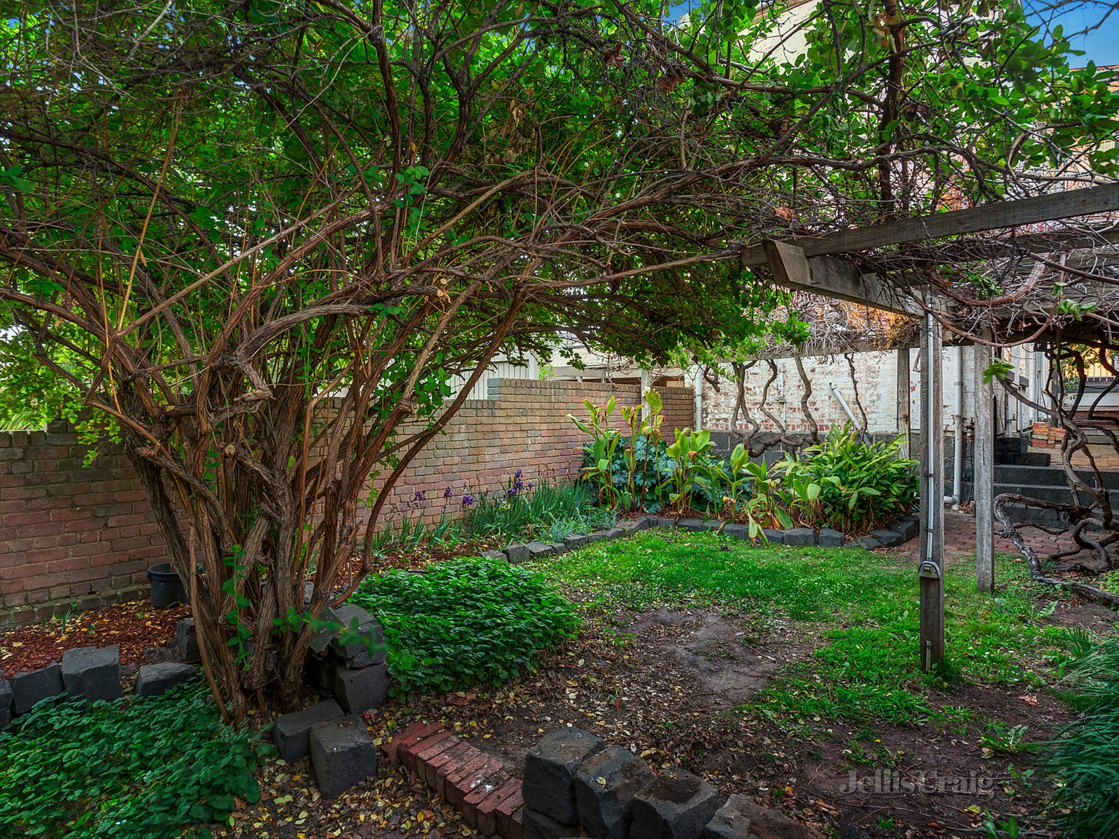 487 Dryburgh Street, North Melbourne image 4