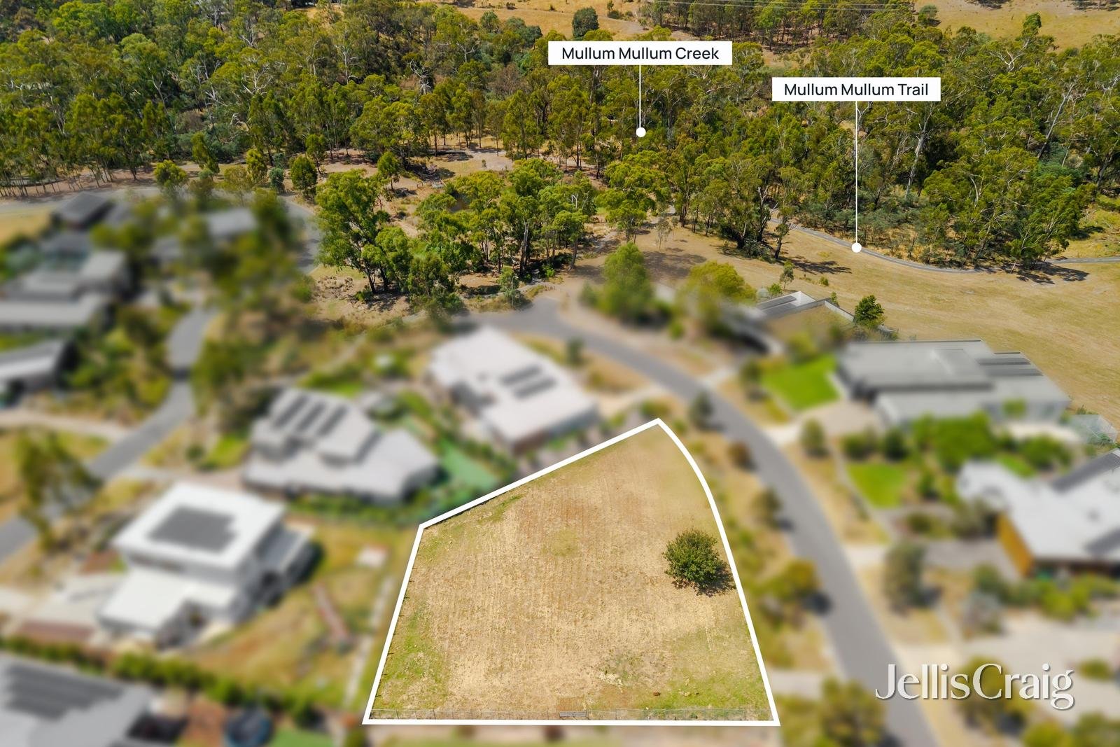 49 Berrima Road, Donvale image 4