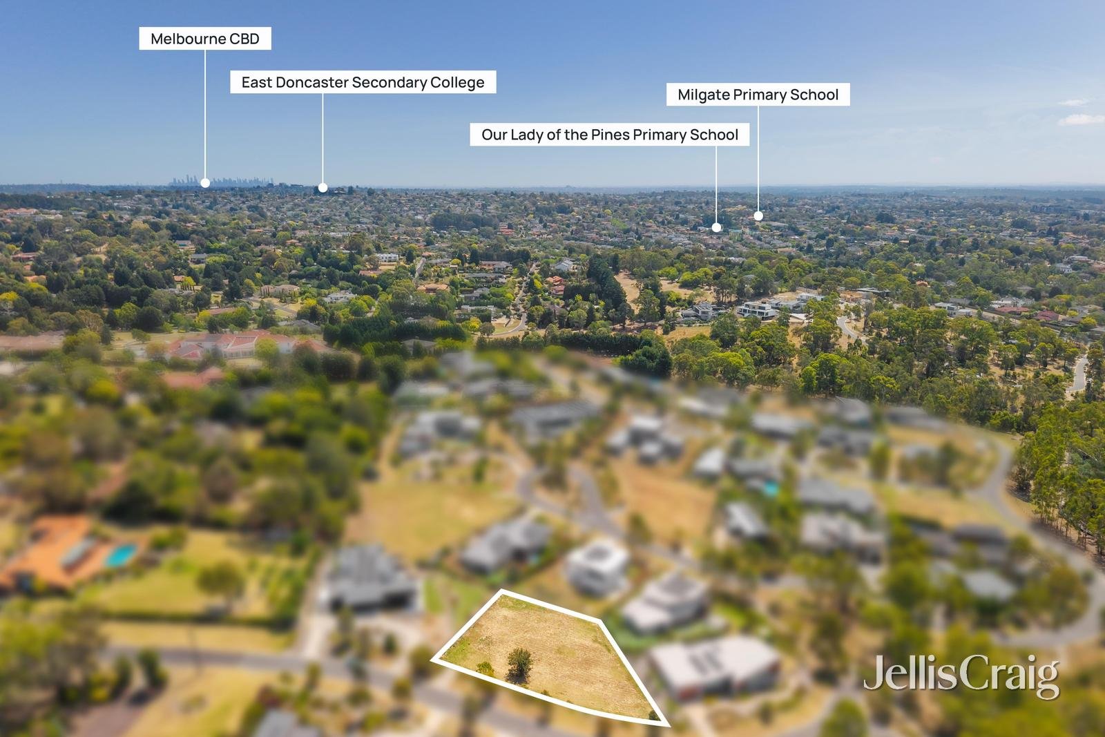 49 Berrima Road, Donvale image 8