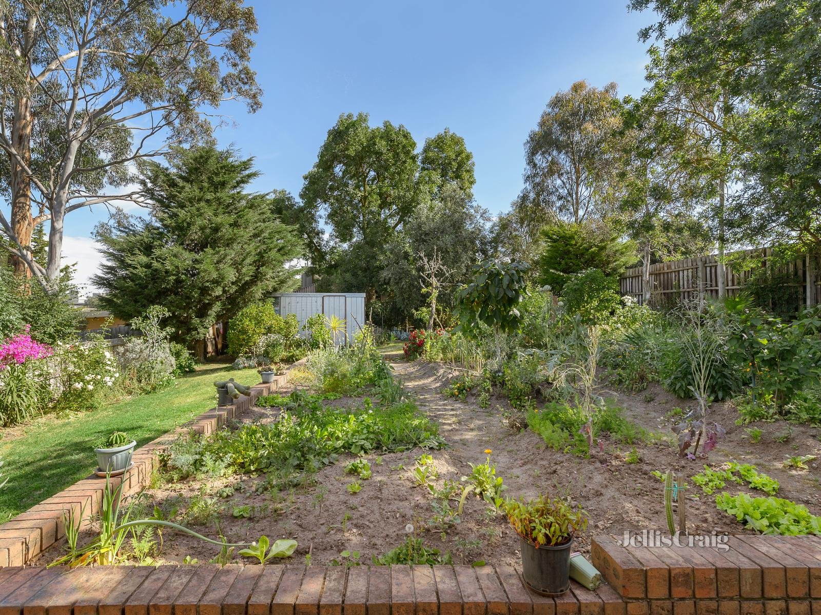 49 Hailes Street, Greensborough image 9