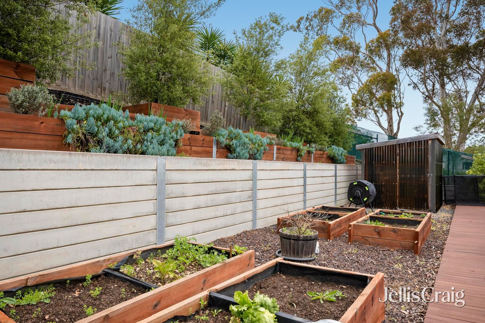 49 Outlook Drive, Chirnside&nbsp;Park image 12