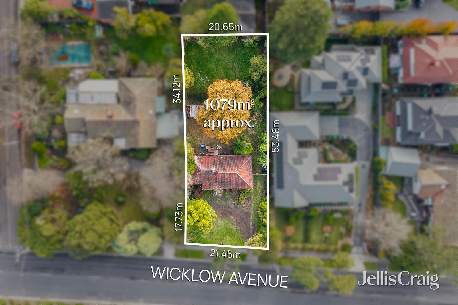 49 Wicklow Ave, Croydon image 1