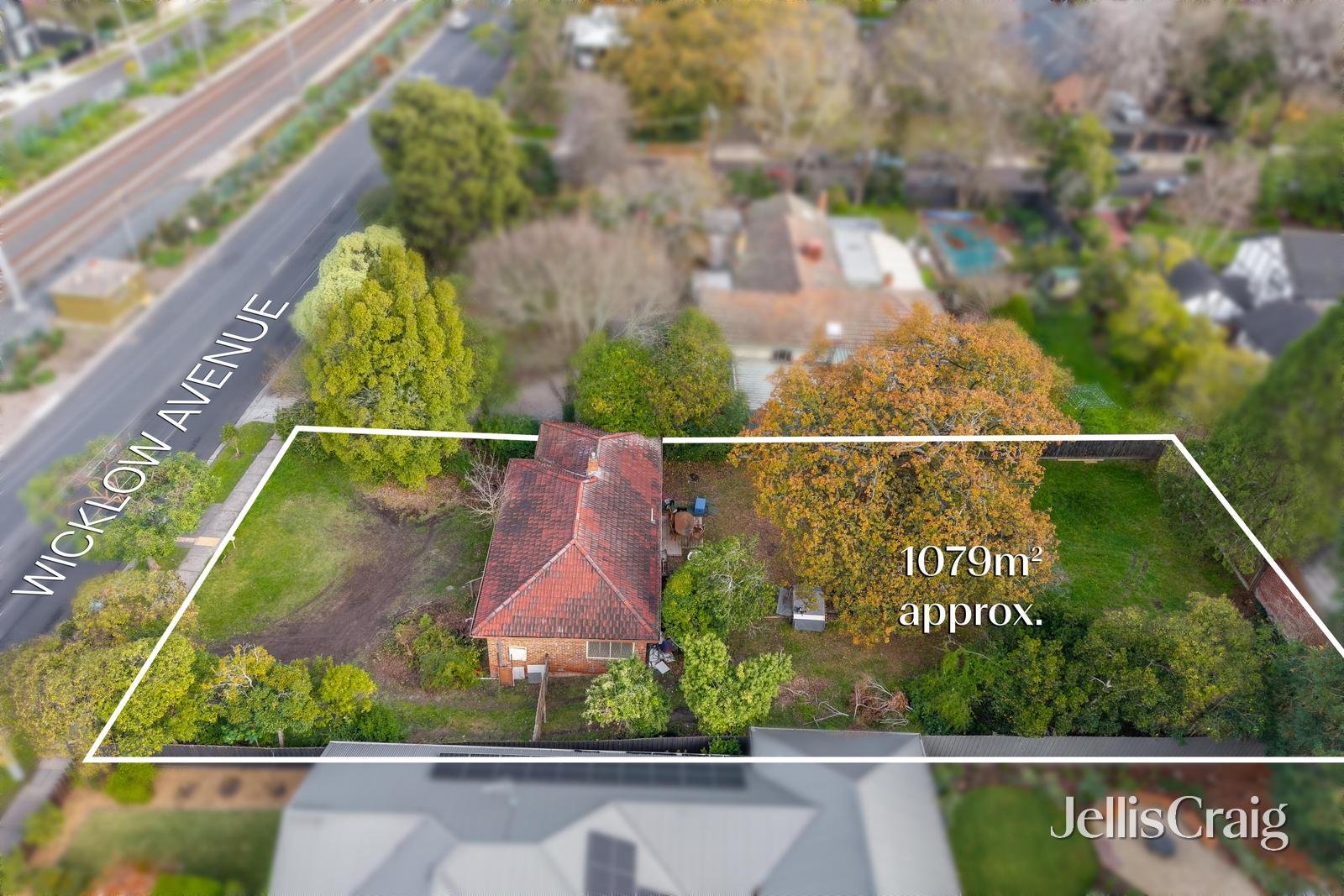 49 Wicklow Ave, Croydon image 3