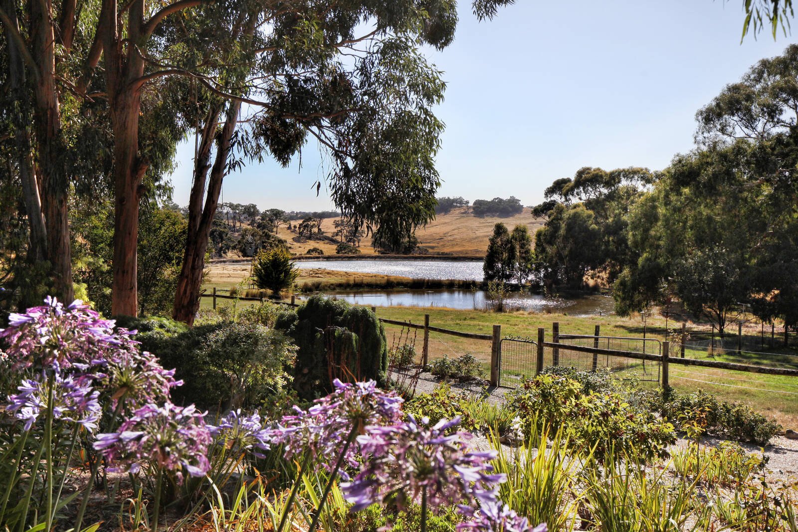 Property Gallery - Main Image