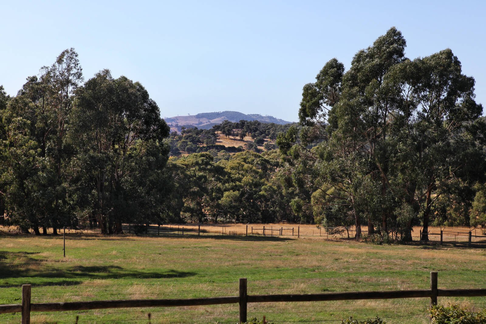 Property Gallery Thumbnail 3