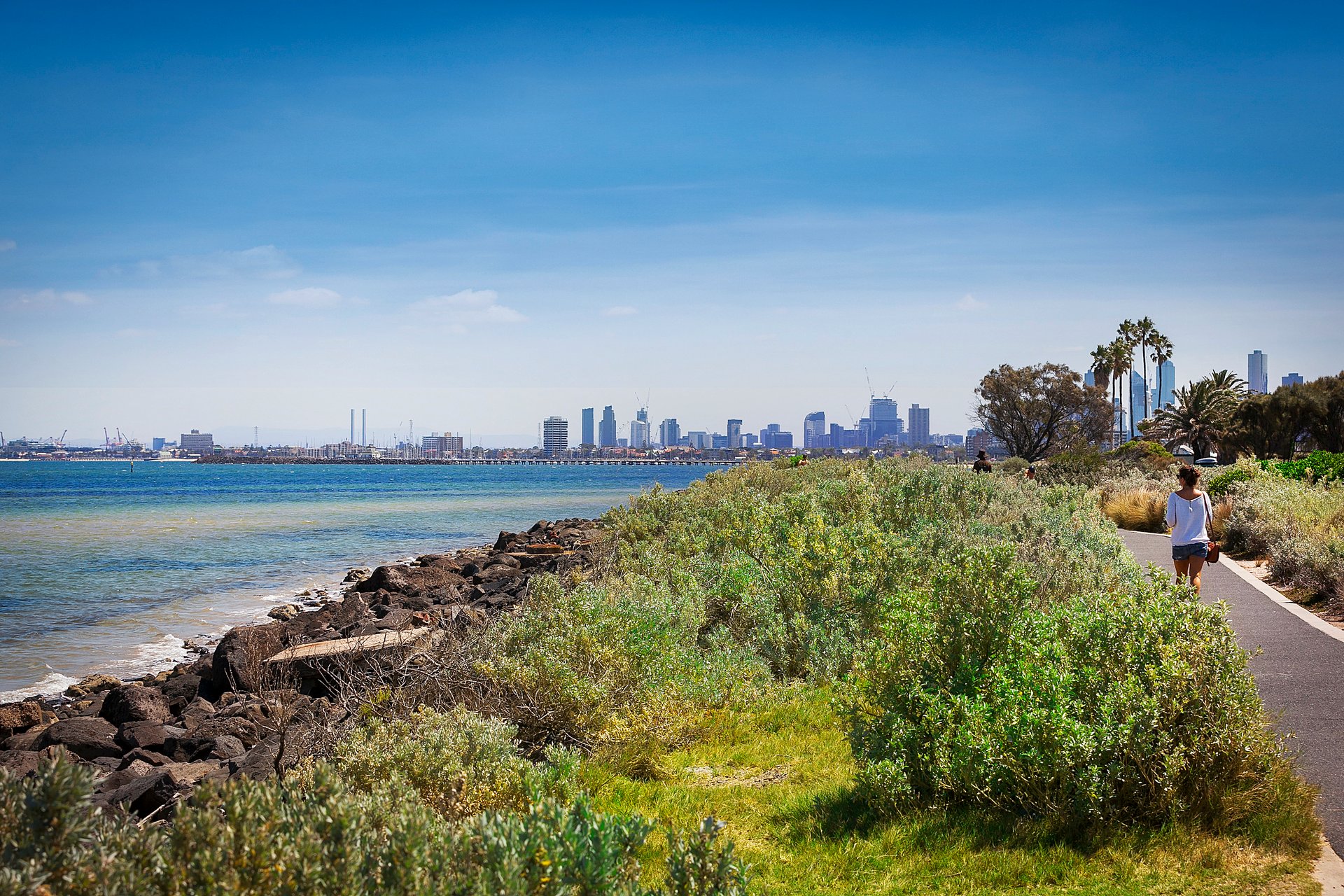 4A Wilton Grove, Elwood image 13