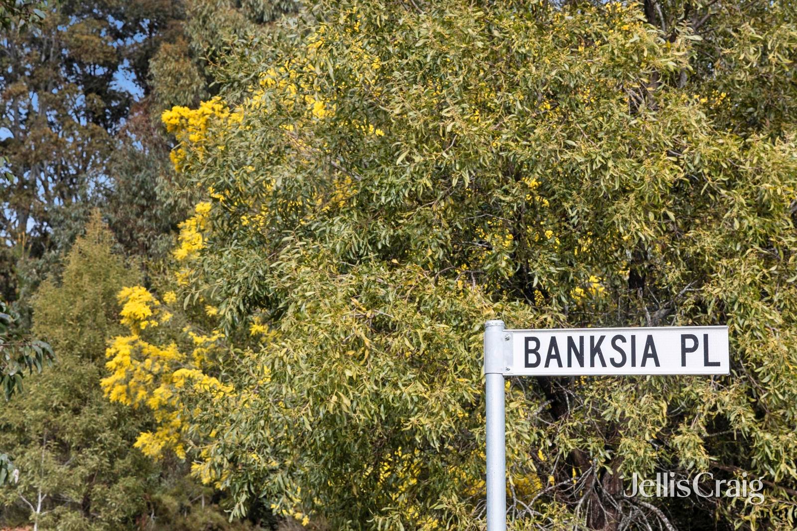 5 Banksia Place, Trentham image 8