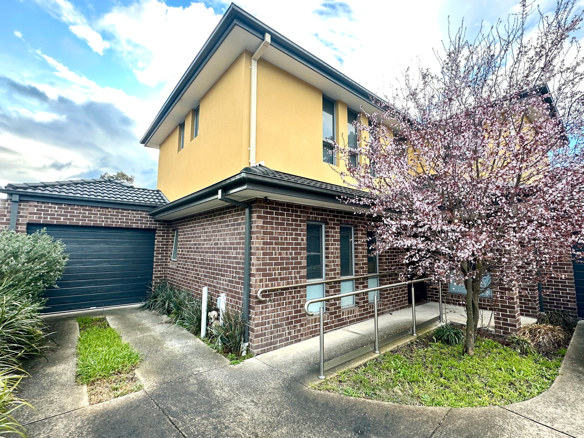 5 Beddoe Avenue, Clayton image 6