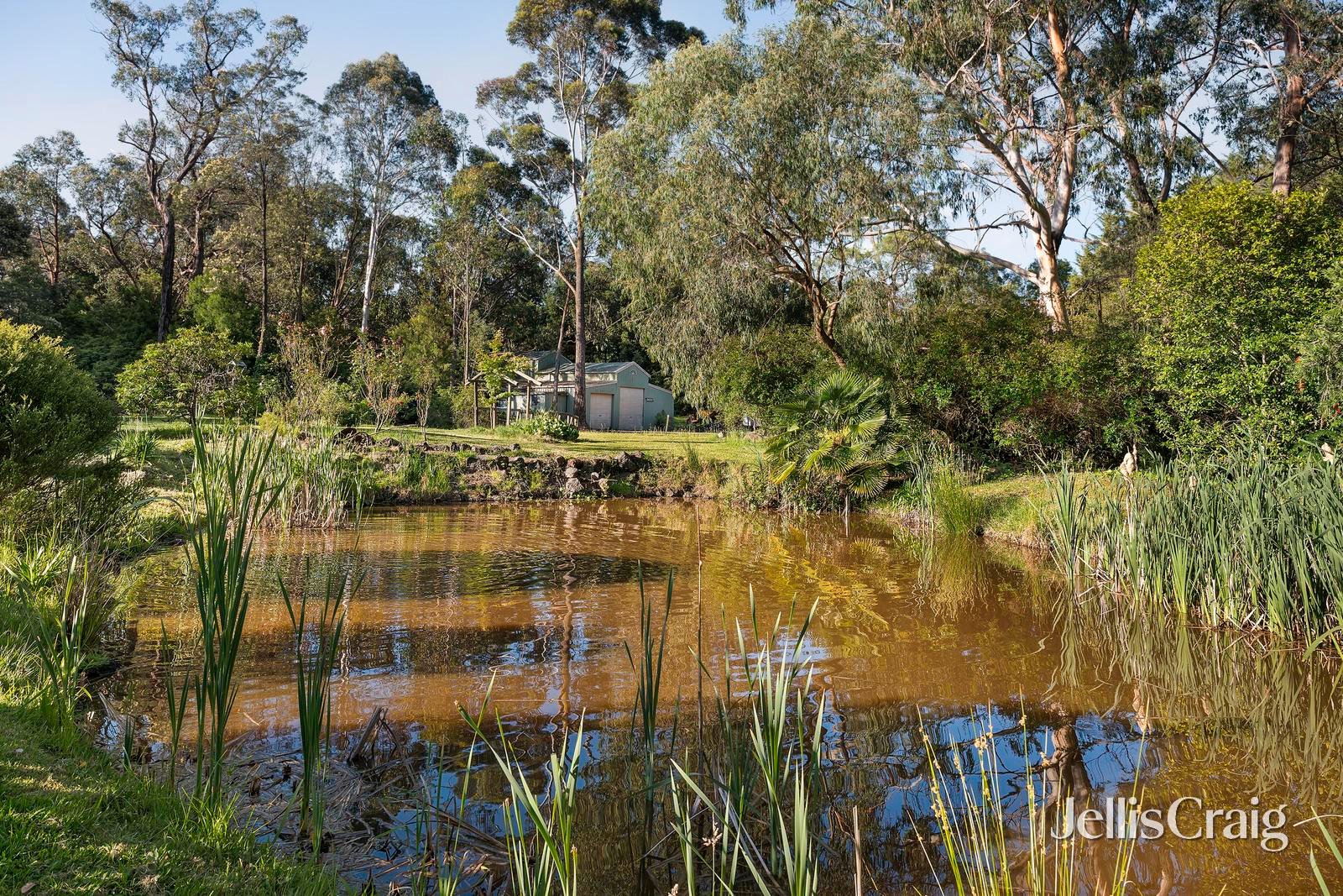 5 Birdwood Avenue, Healesville image 19