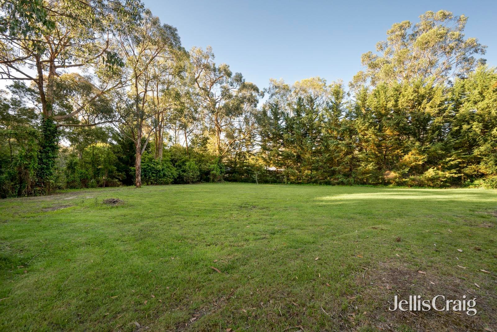 5 Birdwood Avenue, Healesville image 23