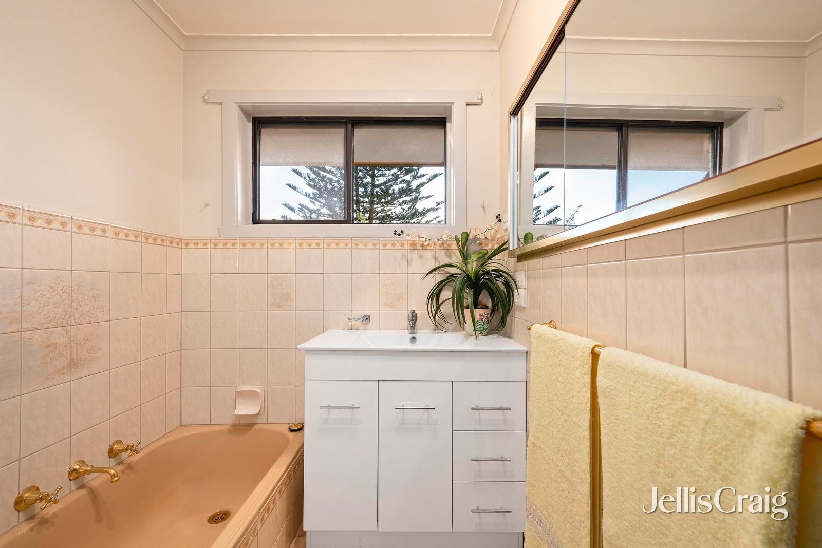 5 Blueberry Road, Mooroolbark image 9