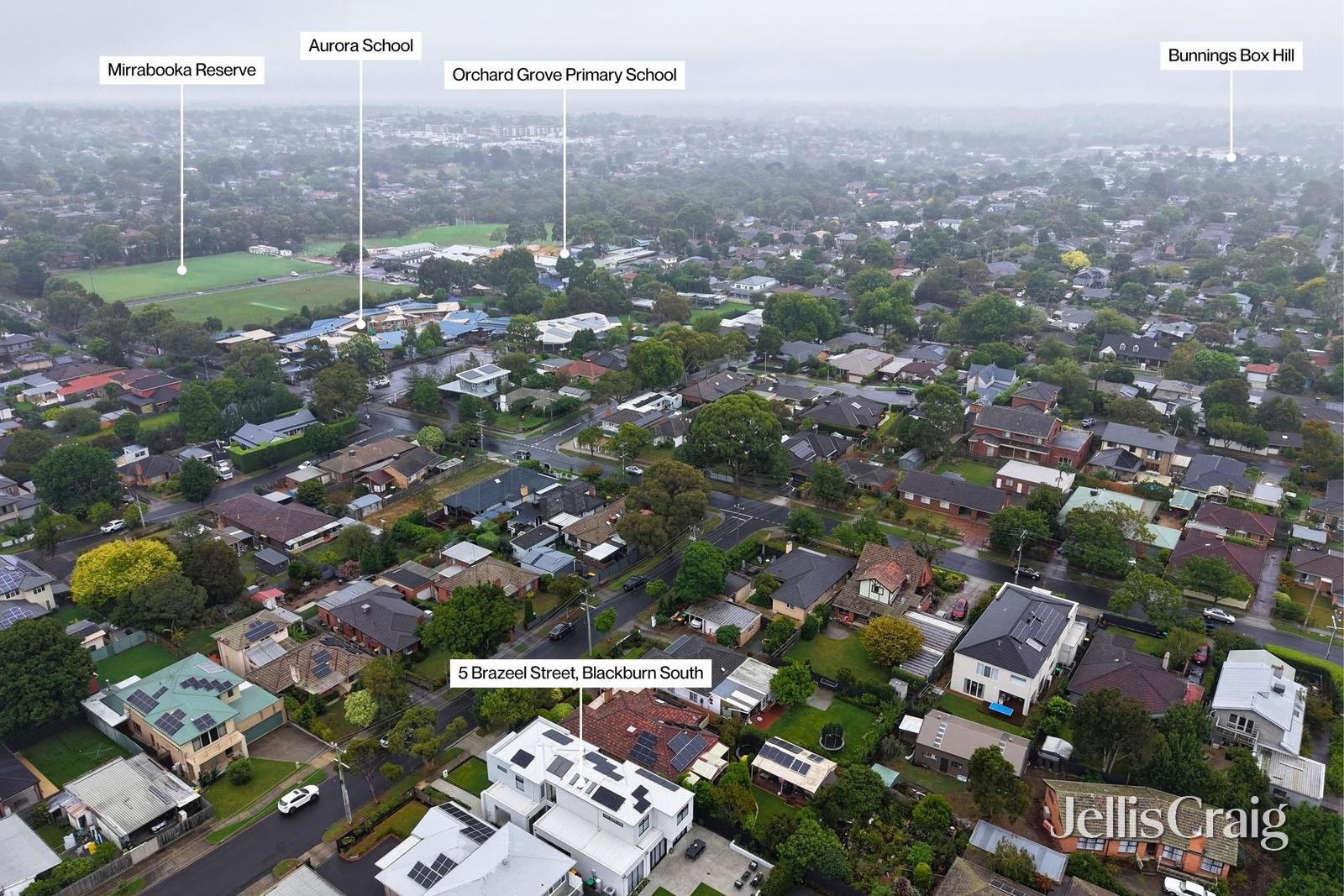 5 Brazeel Street, Blackburn&nbsp;South image 27