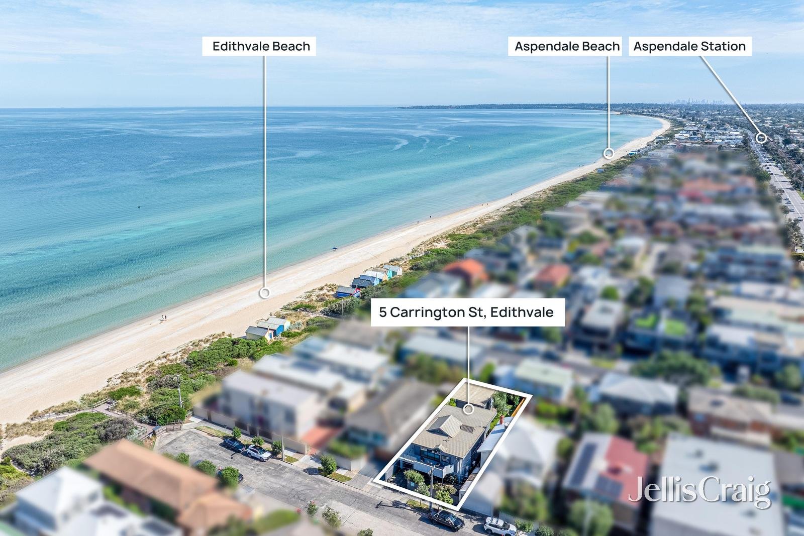 5 Carrington Street, Edithvale image 14