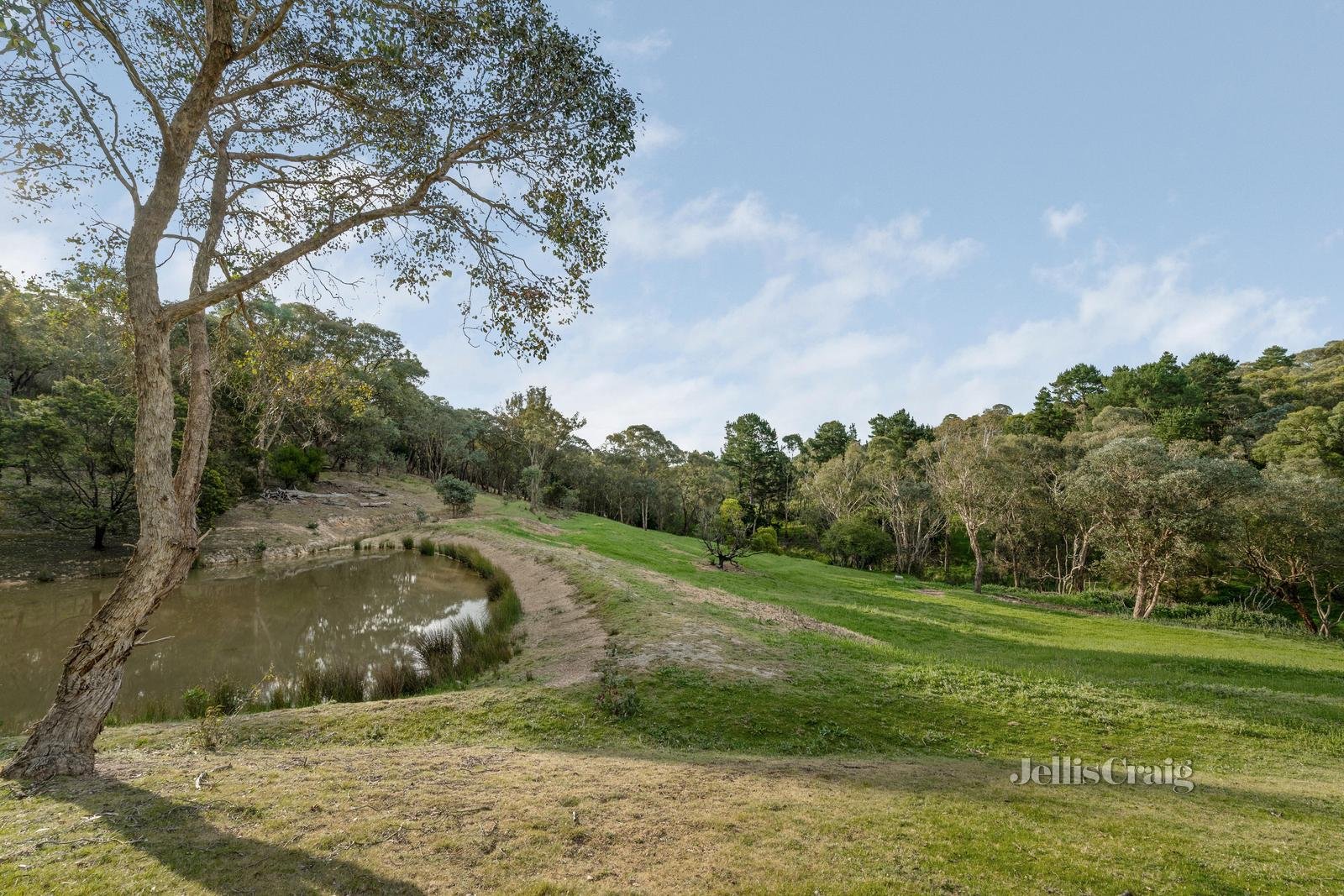 5 Cassells Road, Research image 25