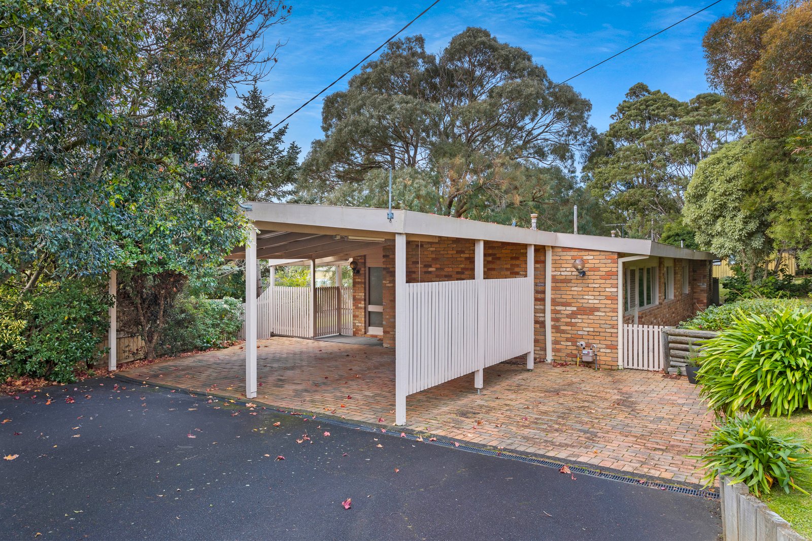 Property Gallery - Main Image