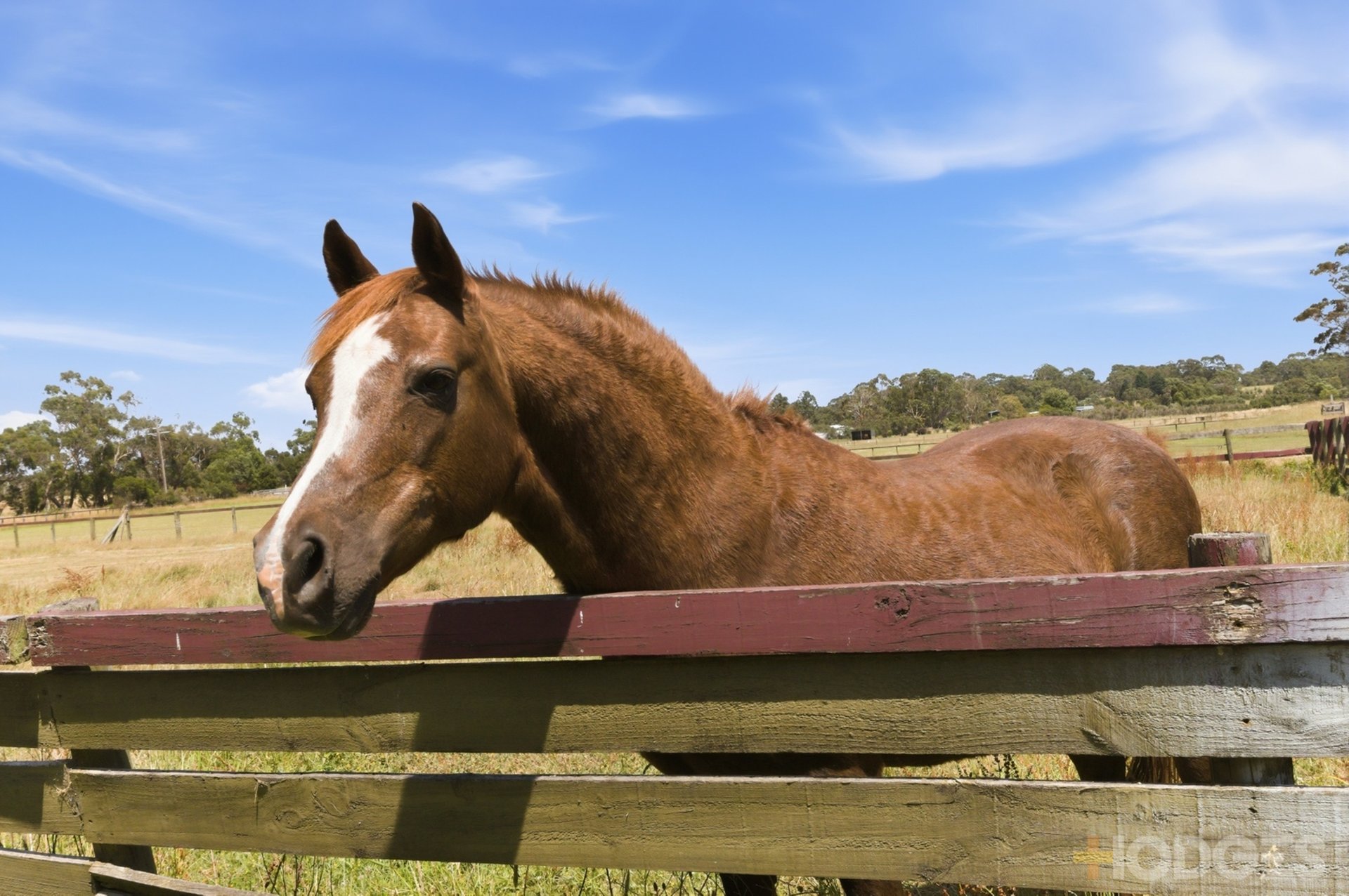 5 Daniels Road Wattle Bank