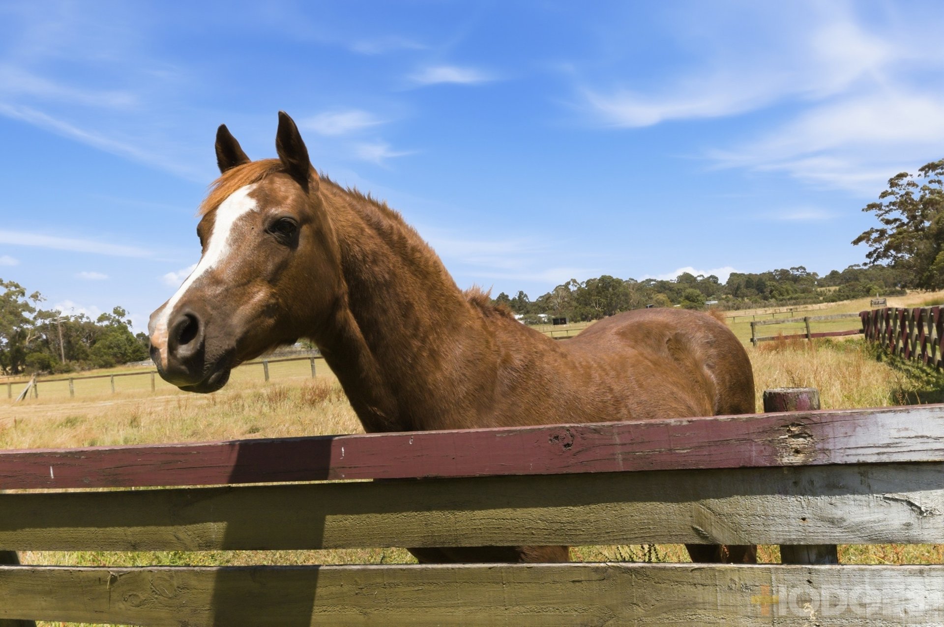 5 Daniels Road Wattle Bank