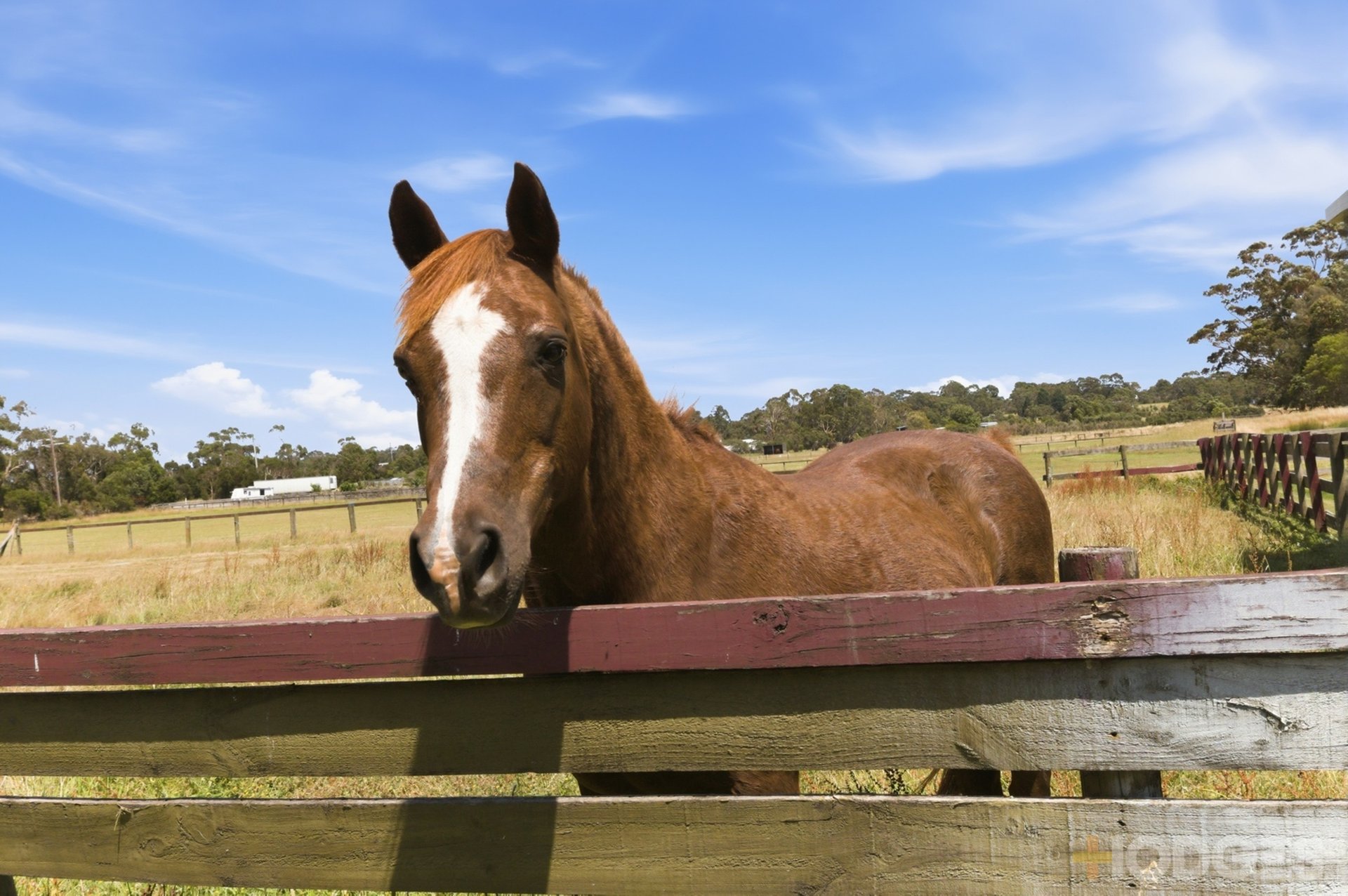 5 Daniels Road Wattle Bank