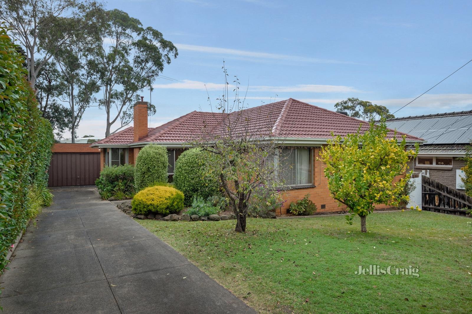 5 De Burgh Court, Viewbank image 1