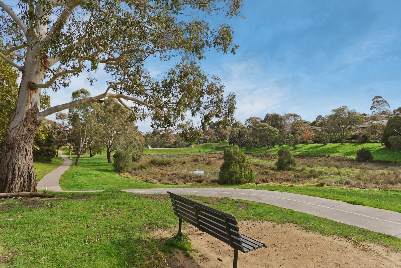 5 Devon Court, Mount Waverley image 10