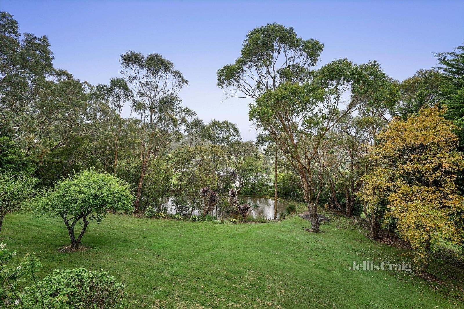 5 Gilba Place, Lilydale image 14