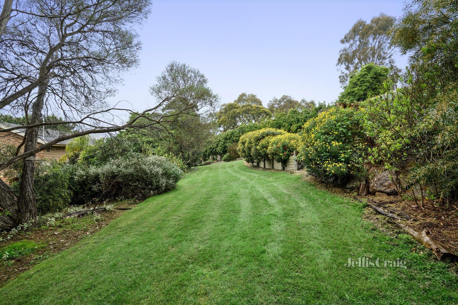 5 Gilba Place, Lilydale image 15