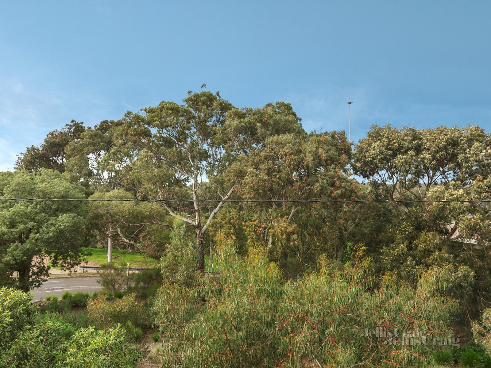 5 Gray Street, Clifton Hill image 8