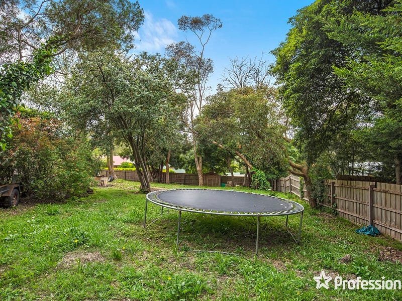 5 Greenhills Avenue, Montrose image 6