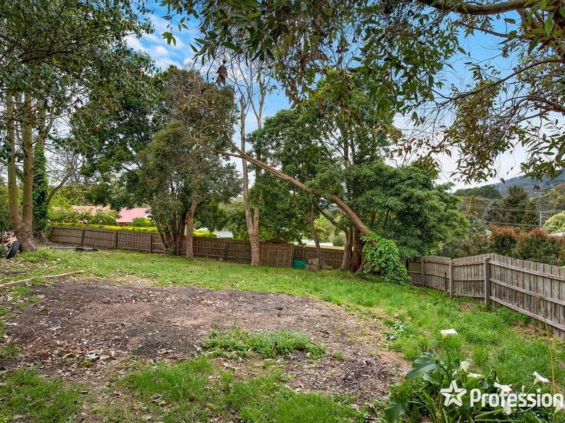 5 Greenhills Avenue, Montrose image 7